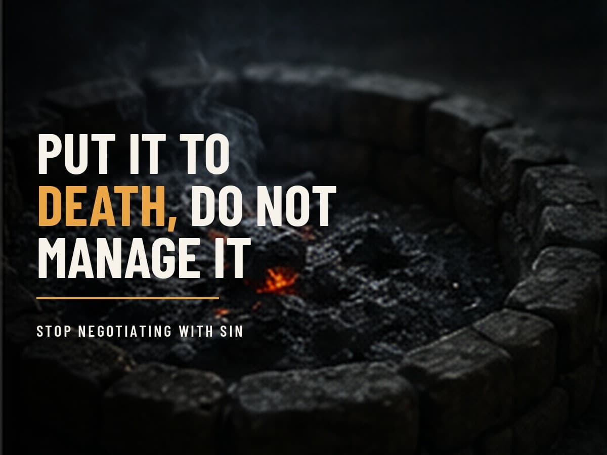 A cold gray fire pit full of dead ash and one last dark ember as first light touches it, in the dark cinematic style of the Take It by Force series, with the words "Put It to Death, Do Not Manage It" set across the graphic.