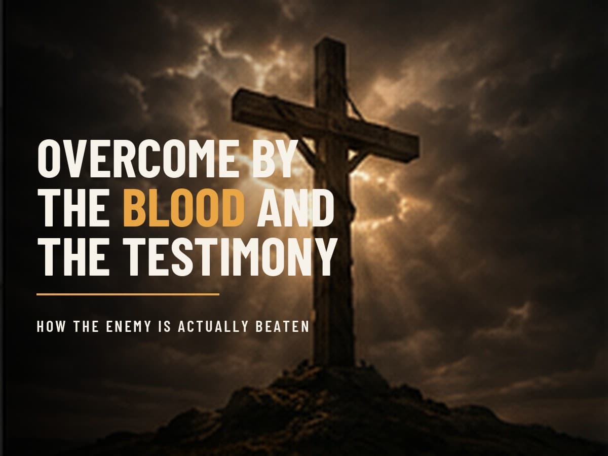 A rugged wooden cross against a bruised storm sky with a shaft of light breaking behind it, in the dark cinematic style of the Take It by Force series, with the words "Overcome by the Blood and the Testimony" set across the graphic.