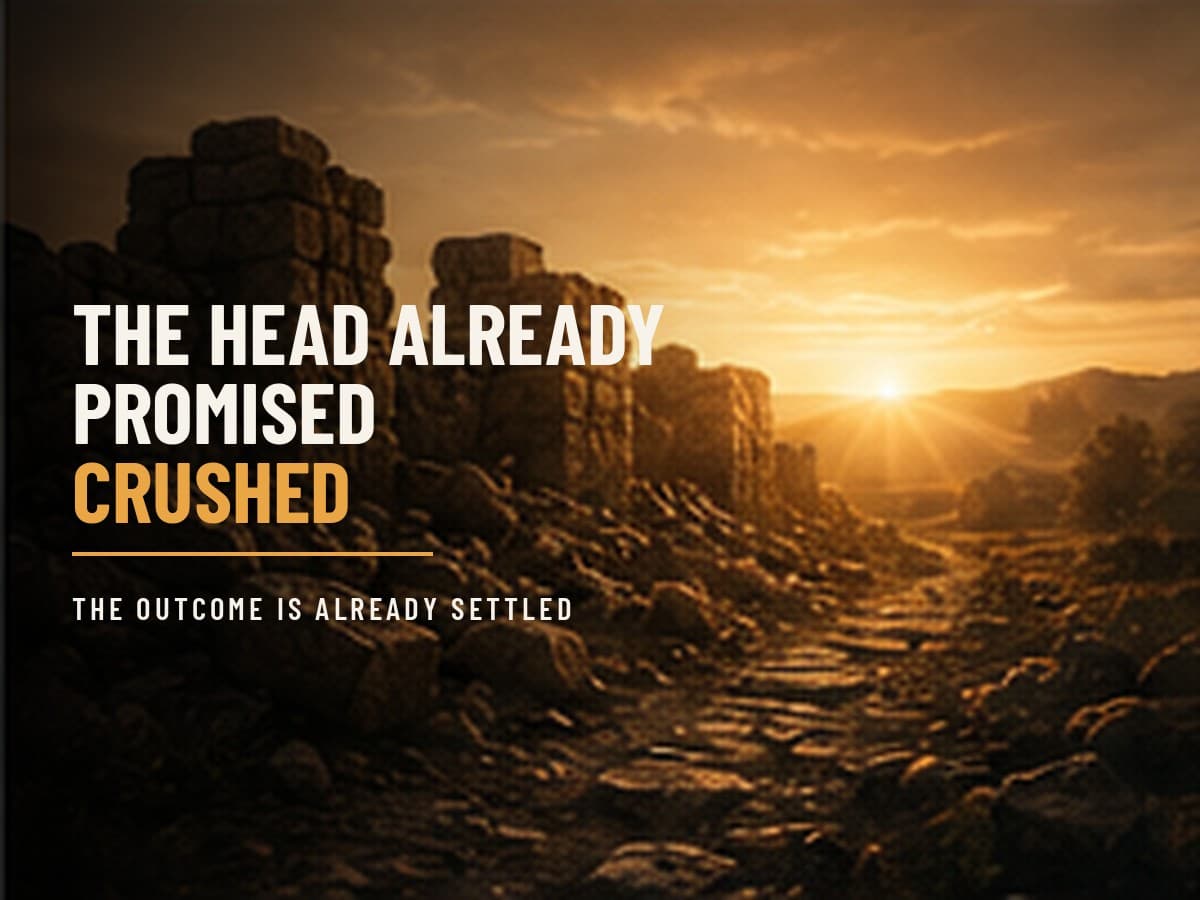 First light breaking gold over a broken, ruined dark wall, the rubble lit by the rising sun, in the dark cinematic style of the Take It by Force series, with the words "The Head Already Promised Crushed" set across the graphic.
