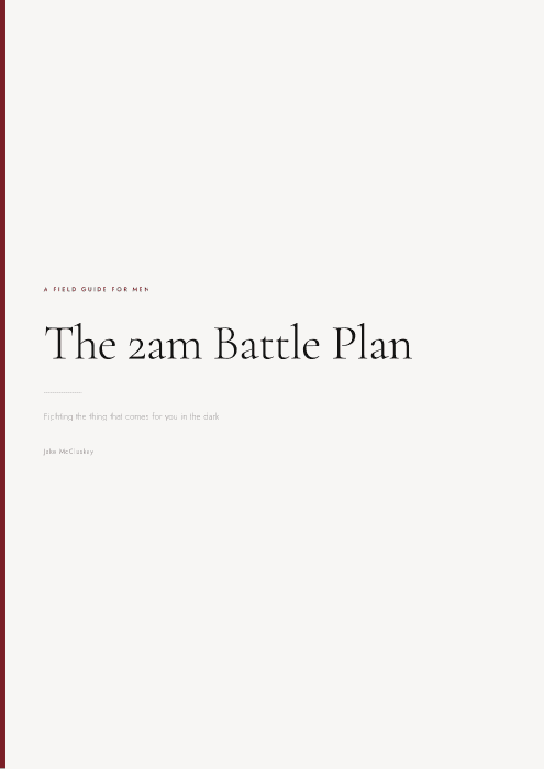 The 2am Battle Plan cover